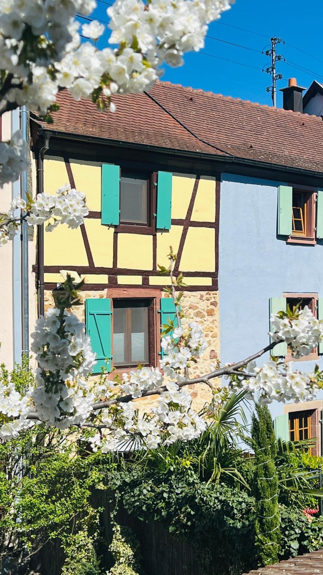 Gite Le Coq Rouge Eguisheim Eksteriør bilde